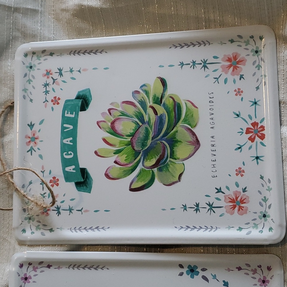 Succulent Sign Set - Picture 4 of 6
